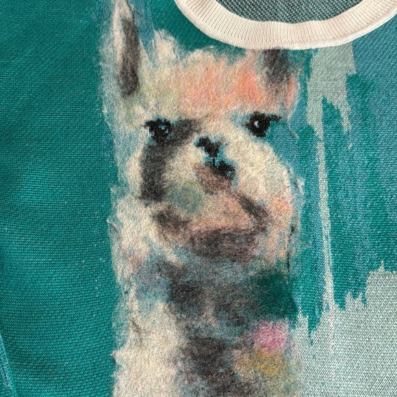 Anthropology llama sweater in EUC - Picture 2 of 4